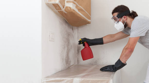 Professional Mold Remediation technician working in Glenwood Landing, NY